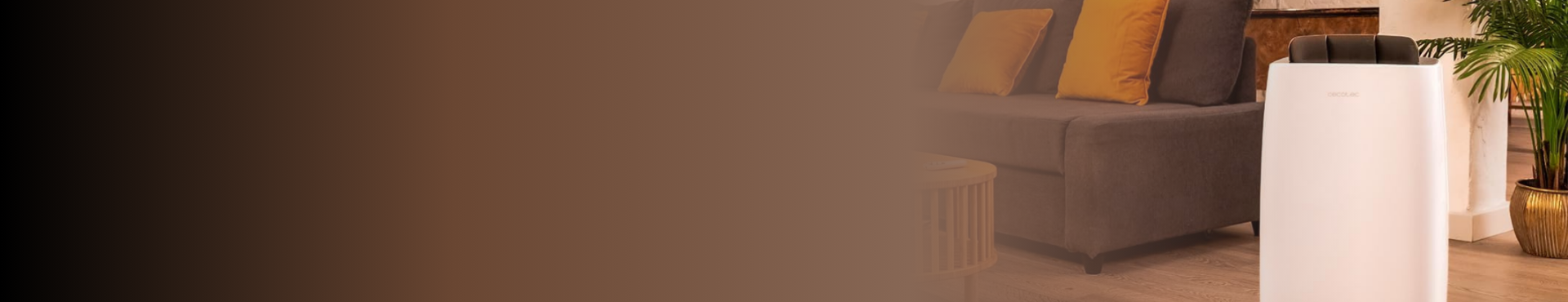 shop banner Dehumidifiers