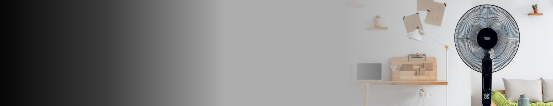 shop banner Fans