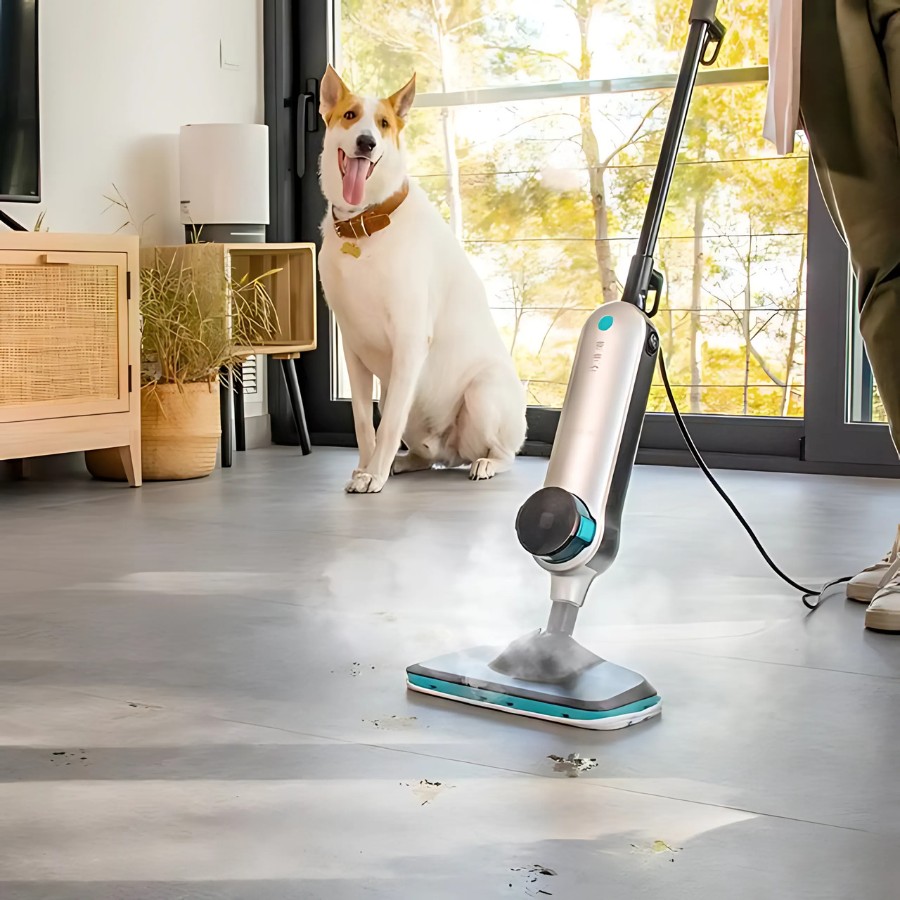 product group  Steam Cleaners